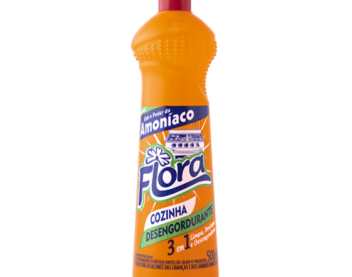 DESENGORDURANTE PLUS 12X500ML