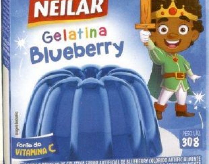 GELATINA BLUEBERRY 48X30GR NEILAR 
