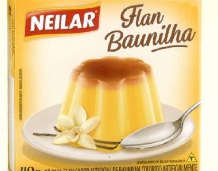 FLAN BAUNILHA 36X40GR NEILAR