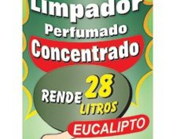 LIMPADOR DIA A DIA EUCALIPTO 24X140ML